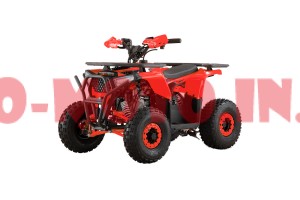Квадроцикл Forte AFU 110